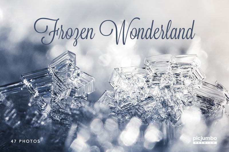 Download hi-res stock photos from our Frozen Wonderland PREMIUM Collection!