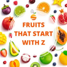 Graphic displaying the words: "fruits that start with z".