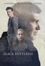 Black Butterfly 