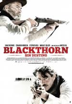 Blackthorn 