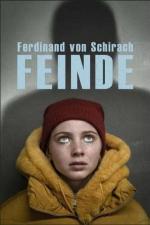 Ferdinand von Schirach: Feinde - Der Prozess (TV)