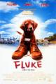 Mi amigo Fluke 