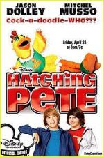 Reinventando a Pete (TV)