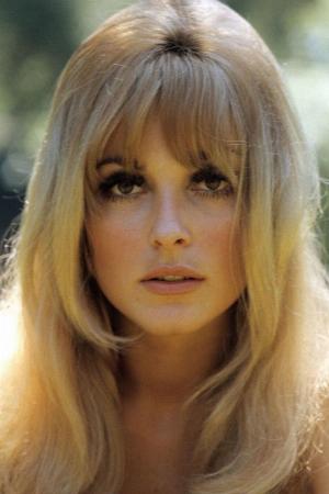 Sharon Tate