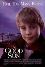 The Good Son 