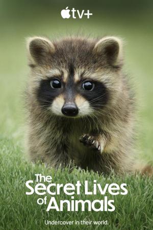 La vida secreta de los animales (Serie de TV)