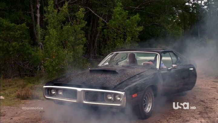 Burn Notice Dodge Charger