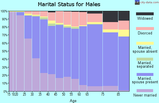 Kent County marital status for males