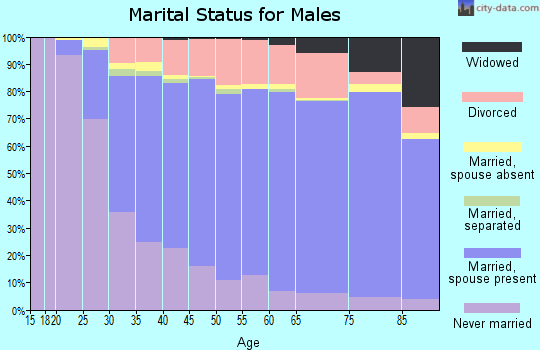 Brown County marital status for males