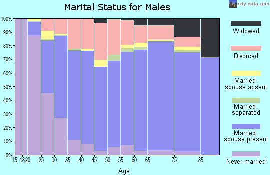 Stone County marital status for males