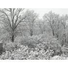 Ann Arbor: Winter window view