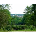 Ann Arbor: North Cammpus as viewed from Nichols Arboretum