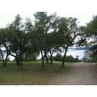 Canyon Lake: pretty trees over the lake!!