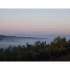 Taylorsville: Views of our morning glory, as seen from my back porch!