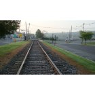 Jamesburg: At dawn, looking toward the lake