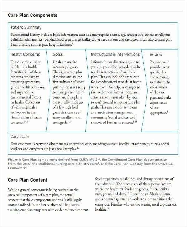 Social Work Care Plan Template Care Plan Template Unique Nursing Home Care Plans Template