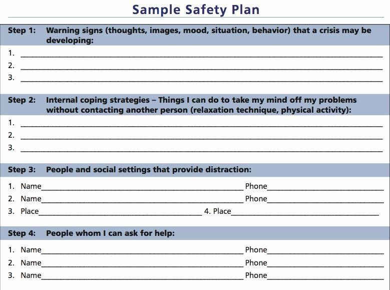 Social Work Care Plan Template Pin On Business Plan Template for Startups