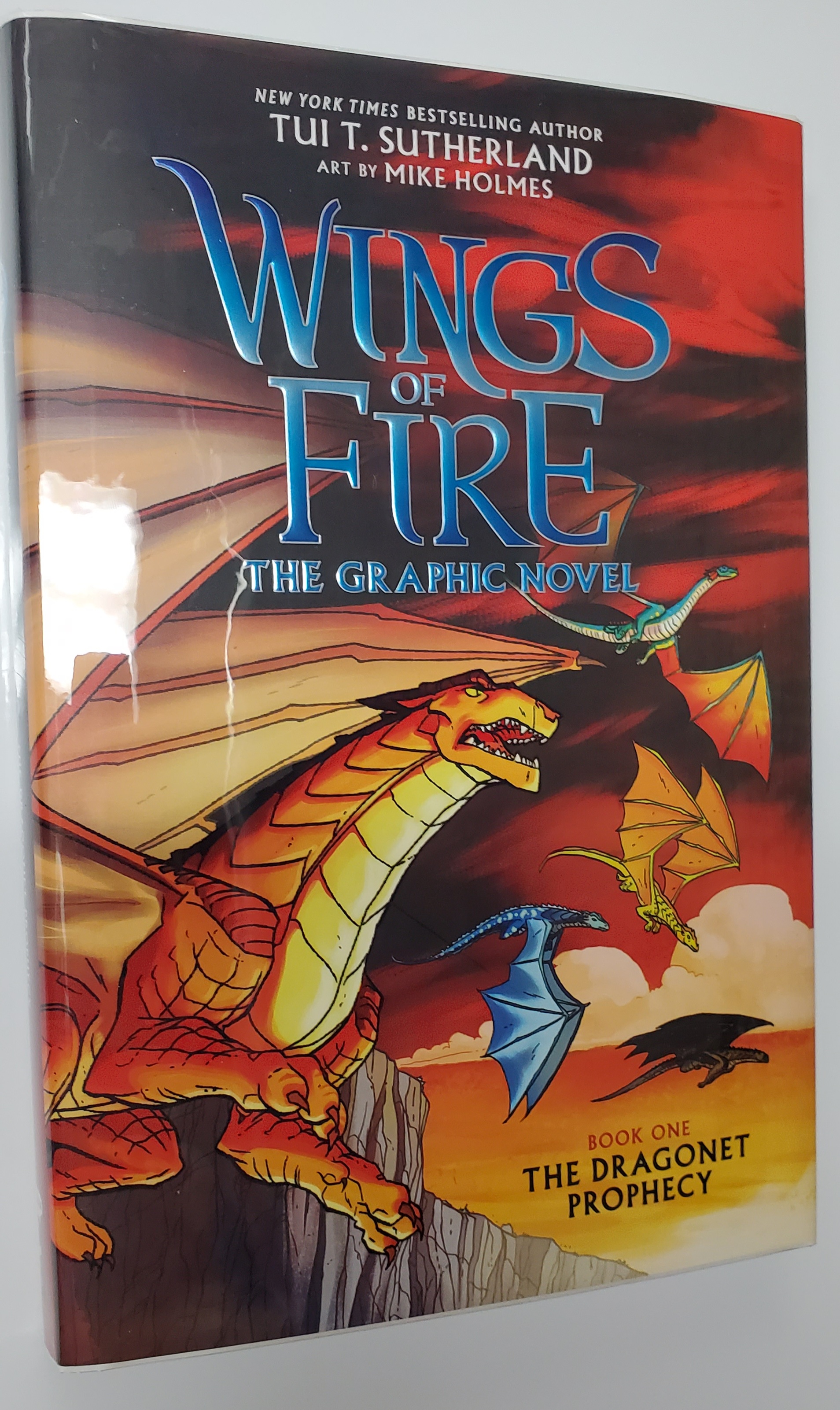 Wings of Fire: The Dragonet Prophecy: A Graphic Novel (Wings of Fire ...