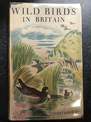 Imagen del vendedor de Wild Birds of Britain a la venta por Mrs Middlebrow's Bookshop Shop and the Rabbit Hole Tearoom