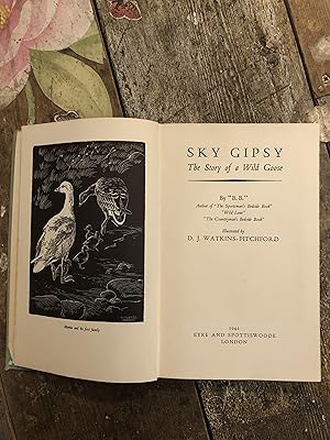 Imagen del vendedor de SKY GIPSY THE STORY OF A WILD GOOSE a la venta por Mrs Middlebrow's Bookshop Shop and the Rabbit Hole Tearoom