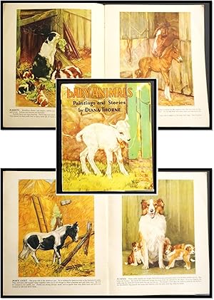 Seller image for Baby Animals [# 874] for sale by Blind-Horse-Books (ABAA-FABA-IOBA)