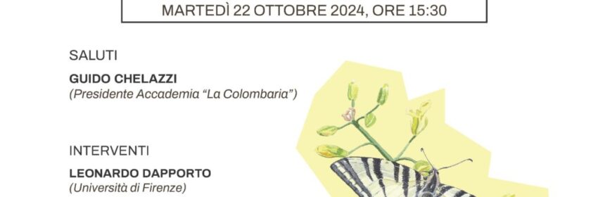 Esperienza estetica 22 ottobre 2024