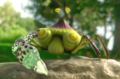 A Peckish Aristocrab in the Pikmin 3 US television commercial.