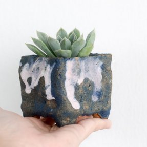 lexie planter succulent