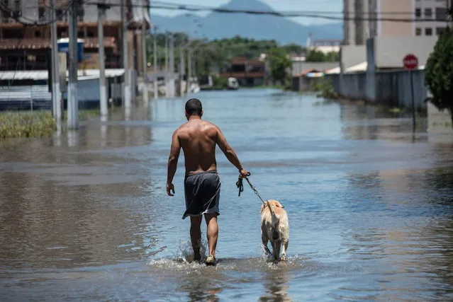 A man and his dog wade through a flooded road in Vila Velha, Espirito Santo state, Brazil, on December 27, 2013. At least 44 people have died and more than 60,000 have been left homeless following torrential rains over the past few weeks in southeast Brazil. (Photo by Yasuyoshi Chiba/AFP Photo)