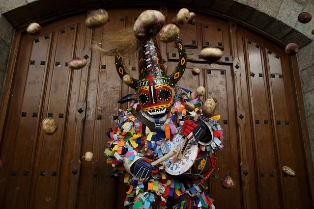 People throw turnips at the Jarramplas as he comes out from the church beating his drum during the Jarramplas Festival on January 20, 2016 in Piornal, Caceres province, Spain. The centuries old Jarramplas festival takes place annually every January 19-20 on Saint Sebastian Day and this year they expect to use more than 20 thousand kilogrames of turnips. Even though the exact origins of the festival are not known, various theories exist including the mythological punishment of Caco by Hercules. (Photo by Pablo Blazquez Dominguez/Getty Images)