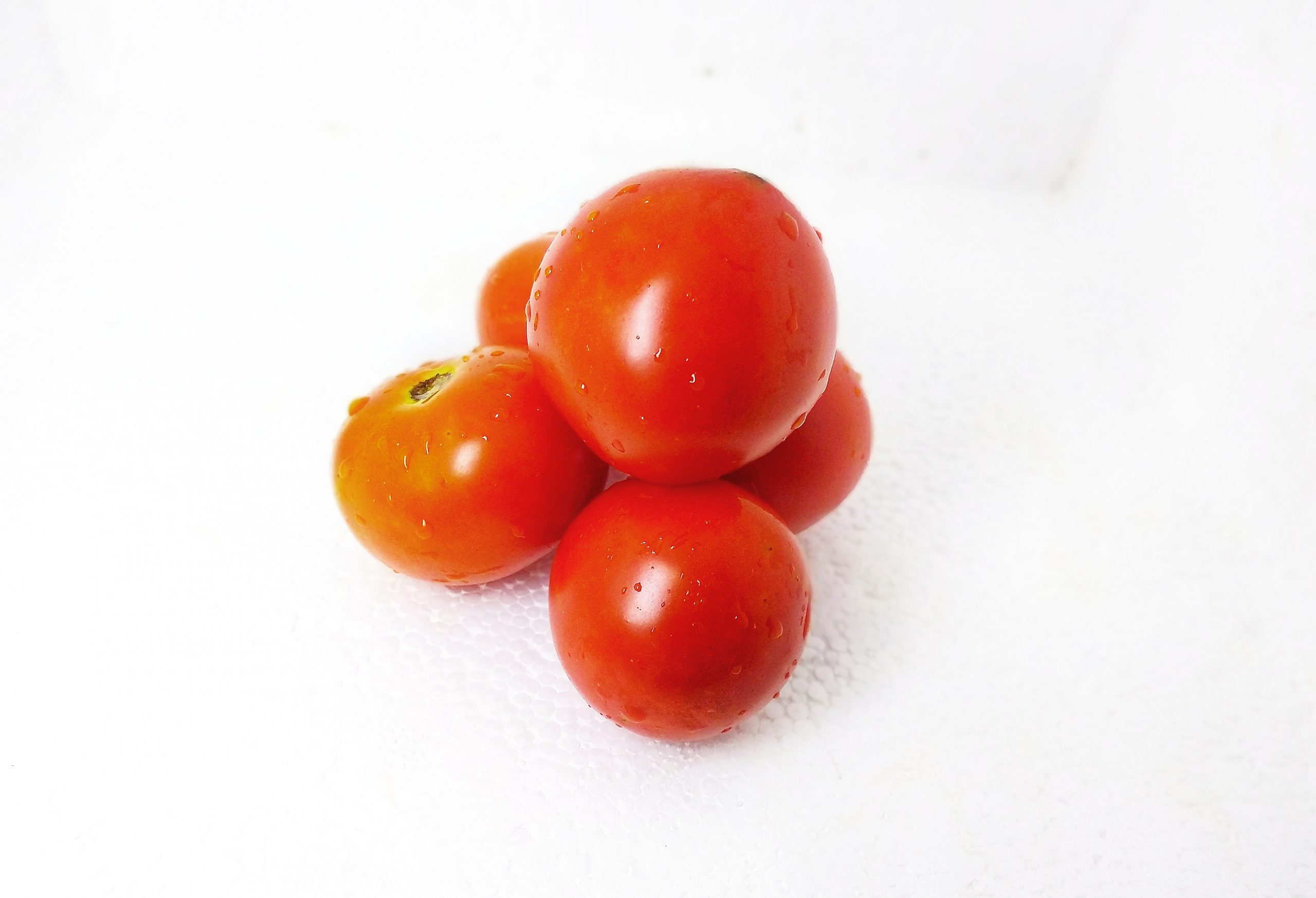 Tomato