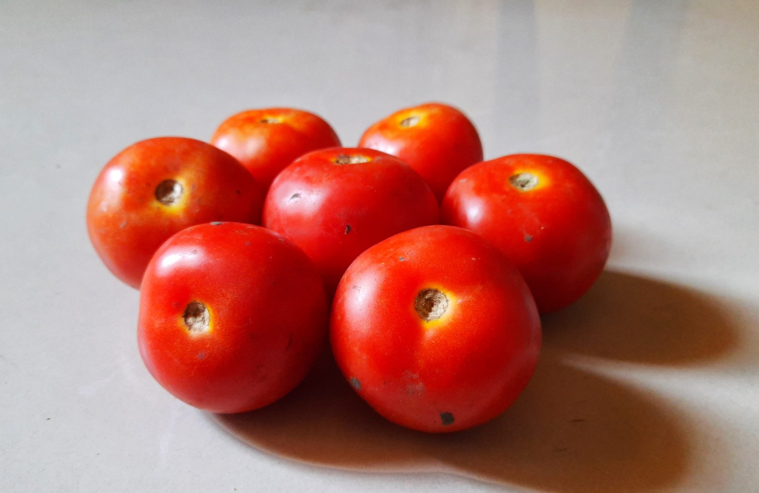 tomatoes