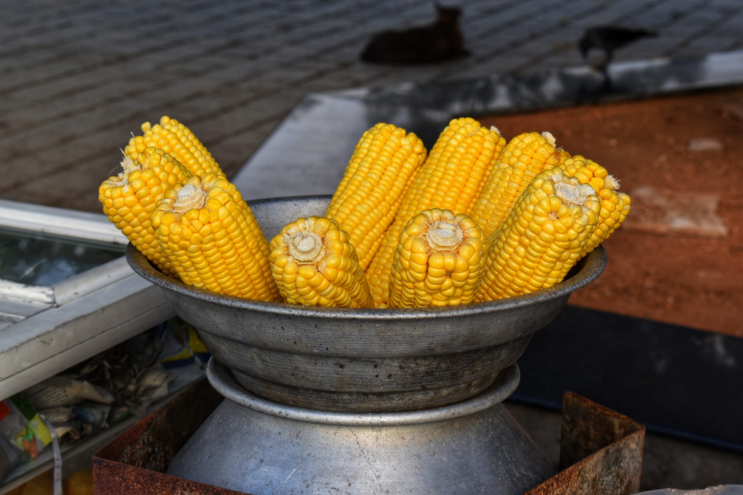 Corn cobs in a pot