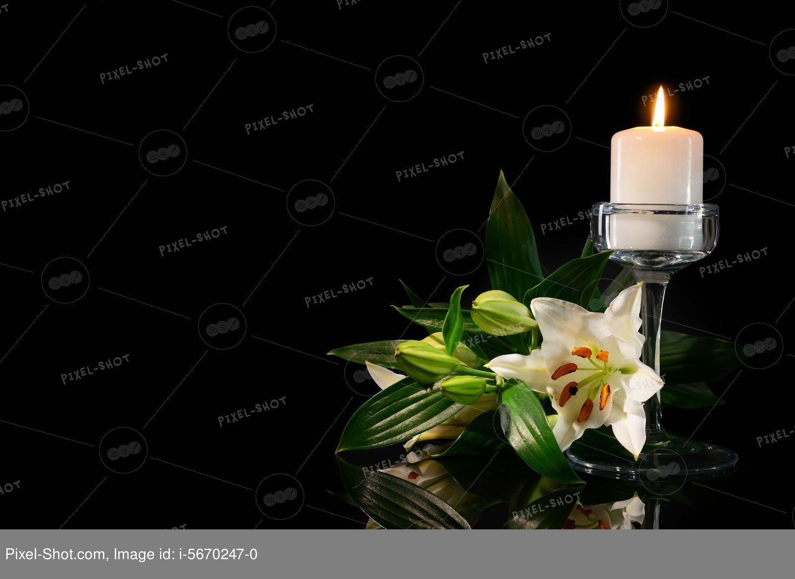 Burning candle and flowers on black background :: Stock Photography Agency  :: Pixel-Shot Studio