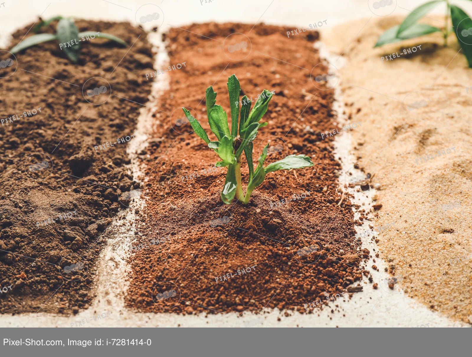 Different types of soil with plants on light background, closeup :: Stock  Photography Agency :: Pixel-Shot Studio