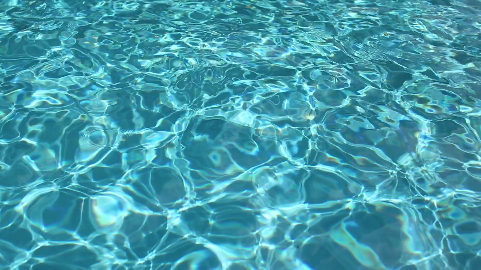 1920x1080 Free photo: Pool water, Nature, Pool, Desktop