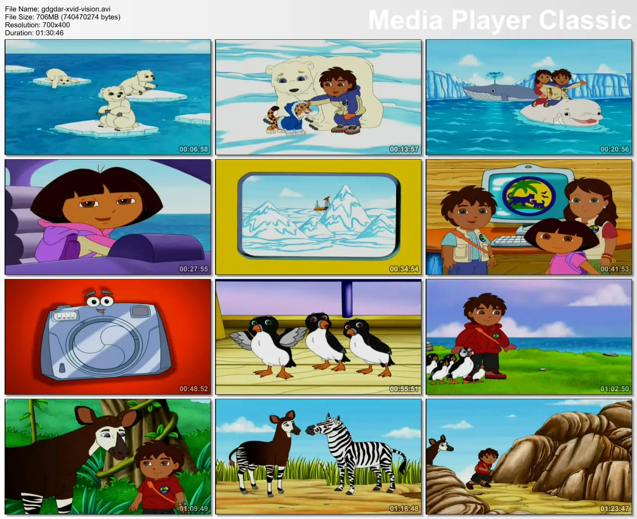 Go Diego Go Diego's Arctic Rescue DVD