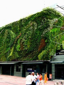 Vertical gardens around the World