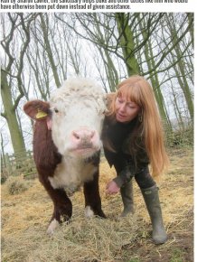 These Farmers Went Out Of Their Way To Save The Life Of A Cow