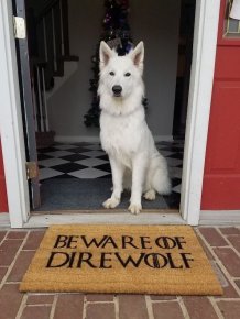 Funny Doormats