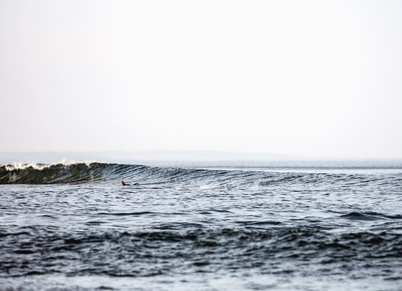 ocean, water, surfer, wave