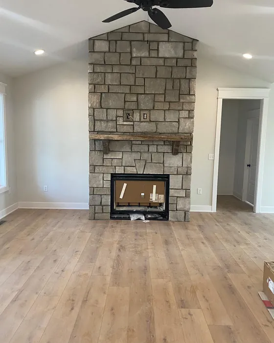 Living Room Fireplace