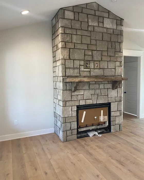 Living Room Fireplace