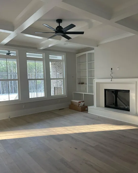 Living Room Fireplace