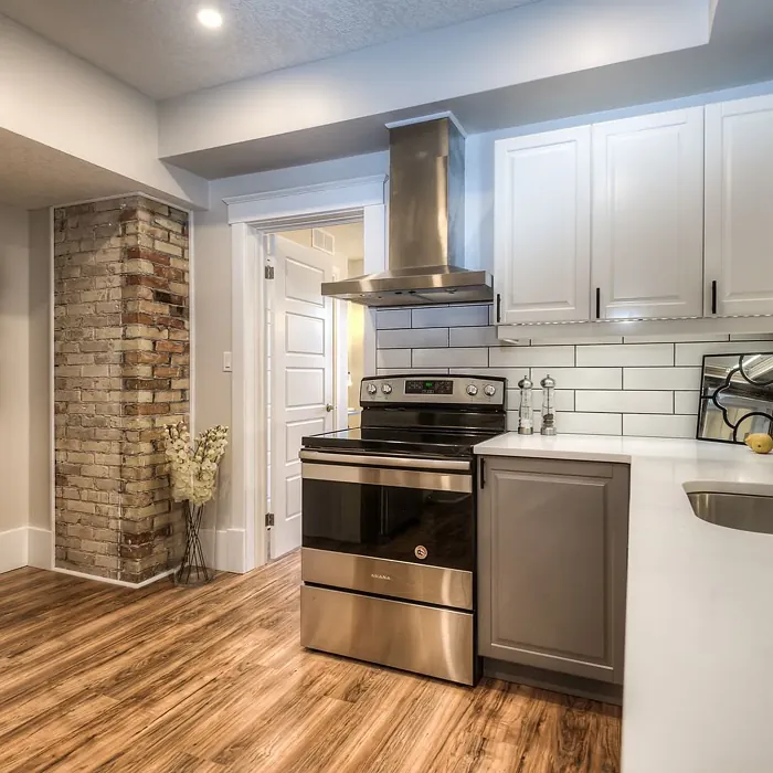 Sherwin Williams City Loft Kitchen