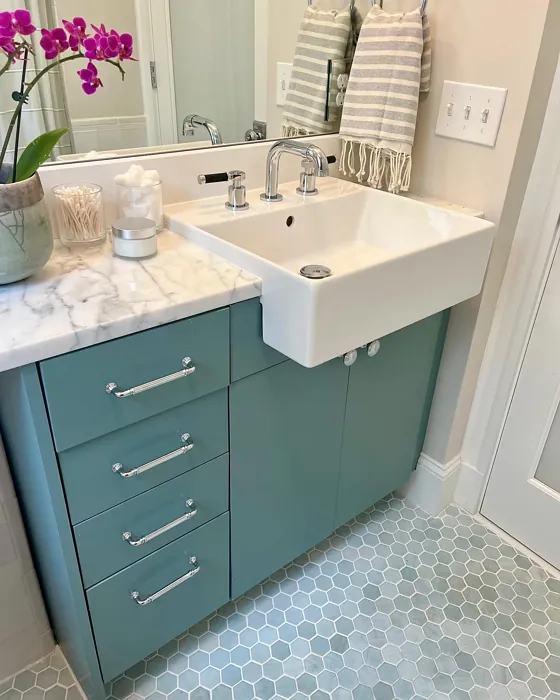 Sherwin Williams City Loft Bathroom