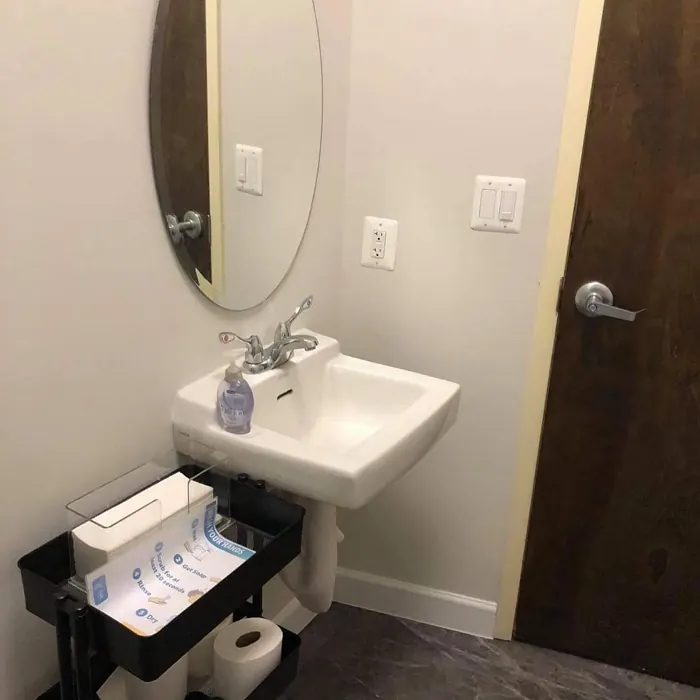 Sherwin Williams City Loft Bathroom