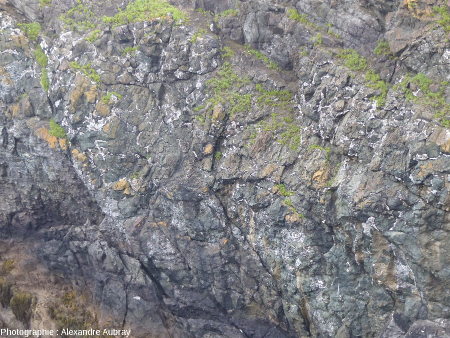 Détail de la partie Sud de l'éperon Nord de la pointe de Lostmarc'h