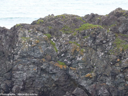 Zoom sur l'extrémité occidentale de la partie Sud de l'éperon Nord de la pointe de Lostmarc'h