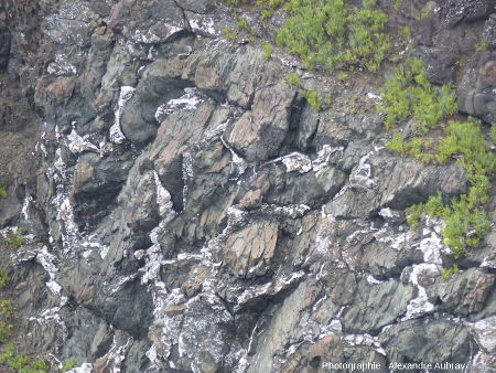 Détail des pillow-lavas de la pointe de Lostmarc'h